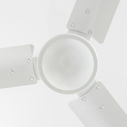 Globo - Ventilador de techo