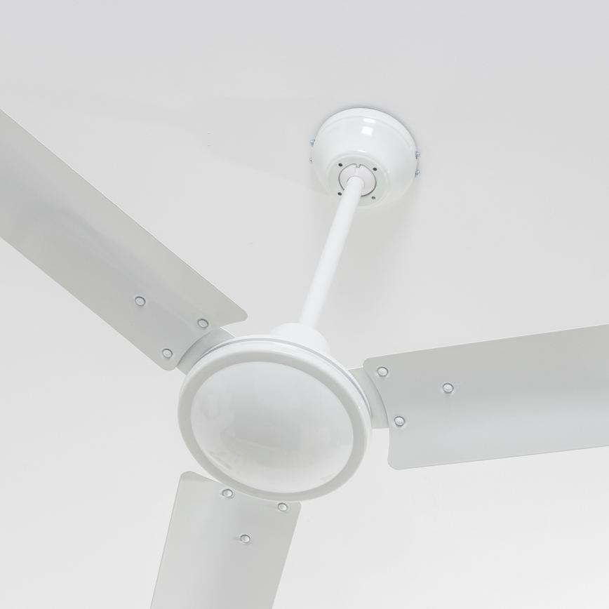Globo - Ventilador de techo