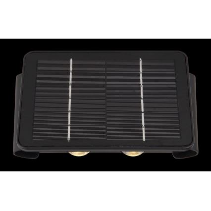 Globo - Lámpara solar LED LED/1W/3,2V 3000K IP54