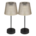 Globo 36634-2S - SET 2x Lámpara solar LED SOLAR LED/0,06W/3V IP44 40 mAh gris