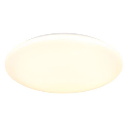 Globo - Lámpara de techo LED/24W/230V 3000/4200/6500K Ø 40 cm