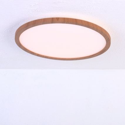 Globo - Luz de techo LED regulable para baño LED/18W/230V diá. 29,4 cm IP44 marrón