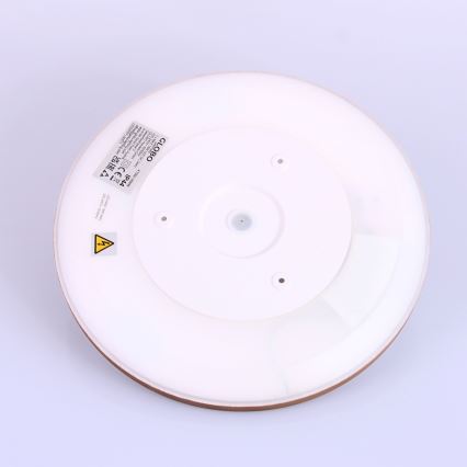 Globo - Luz de techo LED regulable para baño LED/18W/230V diá. 29,4 cm IP44 marrón