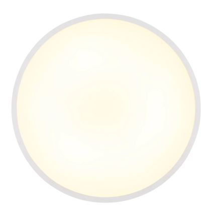 Globo - Lámpara de techo LED 20W/230V 4000K Ø 30 cm blanca