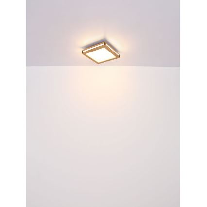 Globo - Plafón LED LED/24W/230V 45x45 cm