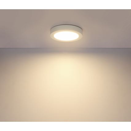 Globo - Plafón LED para baño 18W/230V IP44