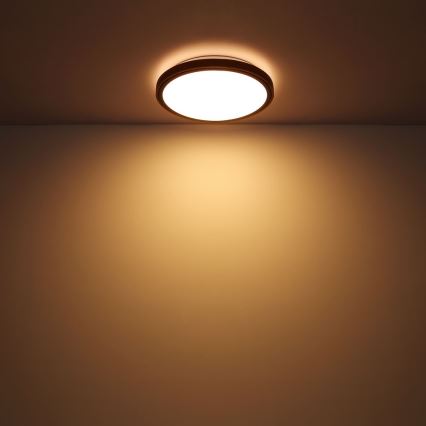 Globo - Lámpara de techo LED LED/12W/230V 307 mm 3000/4500/6000K