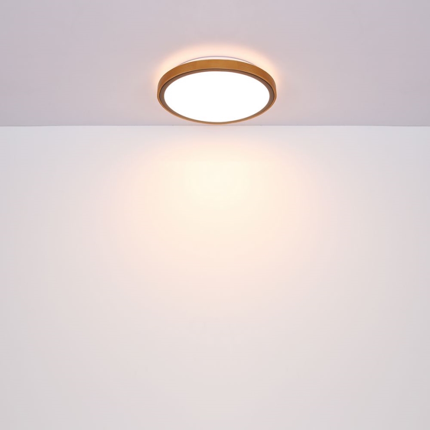 Globo - Lámpara de techo LED LED/12W/230V 307 mm 3000/4500/6000K