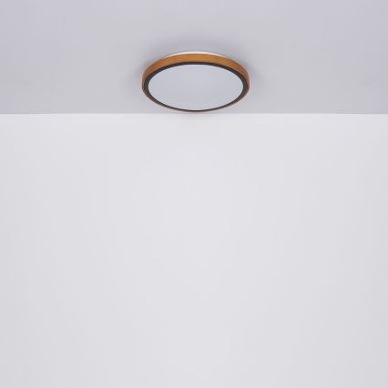 Globo - Lámpara de techo LED LED/12W/230V 307 mm 3000/4500/6000K