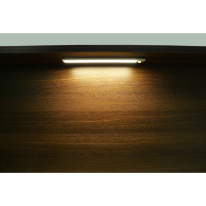 Globo - Lámpara LED recargable regulable para debajo del mueble LED/2,5W/5V 4000K 1100 mAh 40 cm