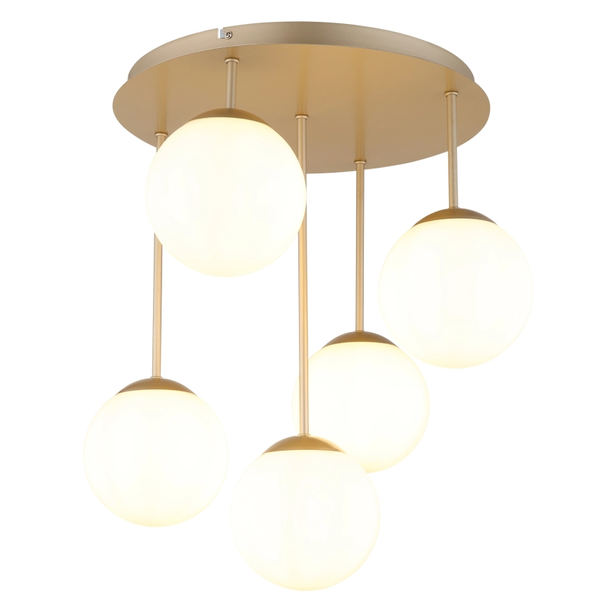 Globo - Lámpara de techo de montaje en superficie 5xE14/25W/230V latón