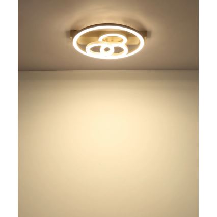 Globo - Lámpara de techo LED regulable LED/40W/230V 2700-6500K Ø 35x33 cm beige + mando a distancia