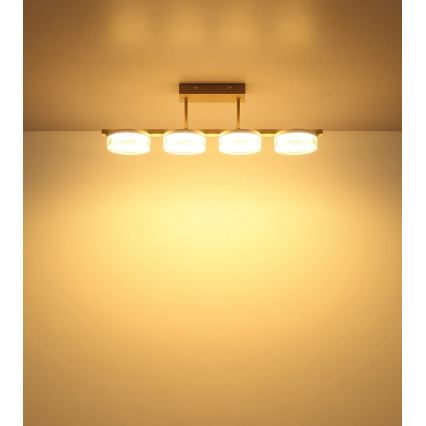 Globo - Lámpara de techo de superficie LED/24W/230V 3000K