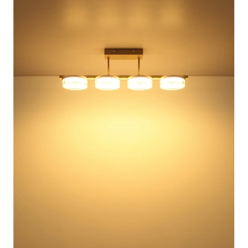Globo - Lámpara de techo de superficie LED/24W/230V 3000K