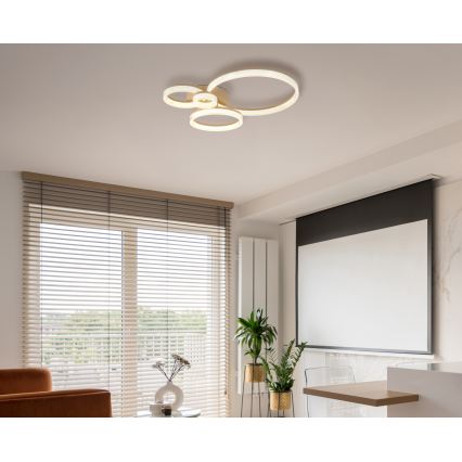 Globo - Lámpara de techo LED/40W/230V 3000K 64,5x75 cm