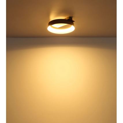 Globo - Luminaria de techo LED/12W/230V 3000K 26x25 cm