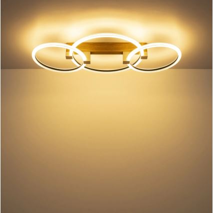 Globo - Lámpara de techo LED 40W/230V 3000K 76,1x38 cm marrón