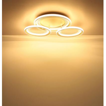 Globo - Luminaria de techo LED/40W/230V 3000K 60,5x62,5 cm