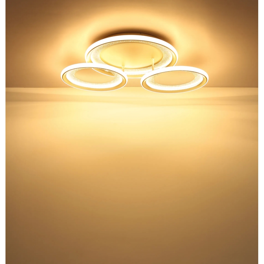 Globo - Luminaria de techo LED/40W/230V 3000K 60,5x62,5 cm