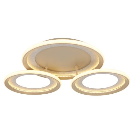 Globo - Luminaria de techo LED/40W/230V 3000K 60,5x62,5 cm