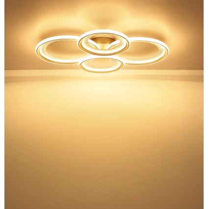 Globo - Lámpara de techo LED/50W/230V 3000K 64,5x85,5 cm