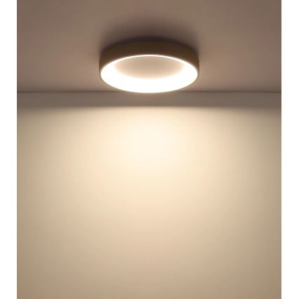 Globo - Plafón LED regulable/48W/230V 2700-6000K Ø 50 cm + mando a distancia