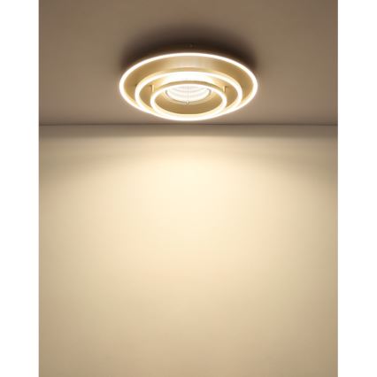 Globo - Plafón LED LED/40W/230V 3000/4000/6000K diámetro 51 cm beige
