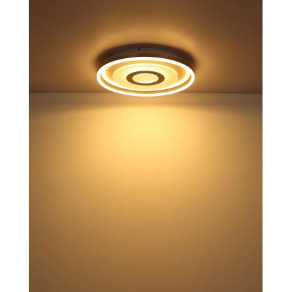 Globo - Lámpara de techo LED/40W/230V 3000K Ø 50 cm