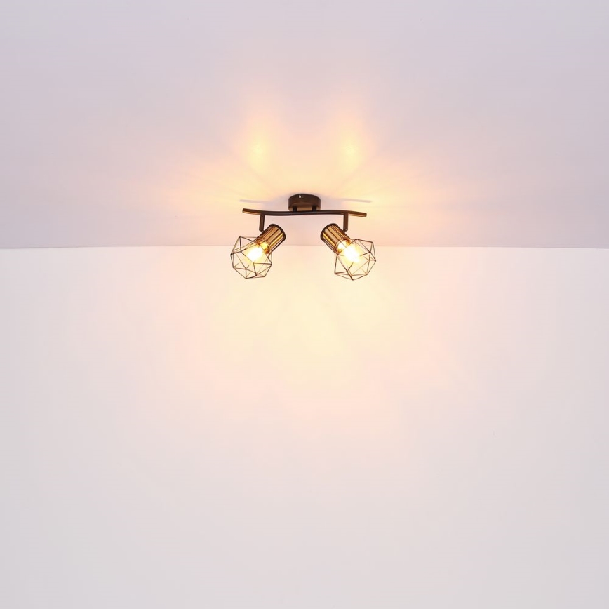 Globo - Lámpara de techo con dos focos 2xE27/40W/230V