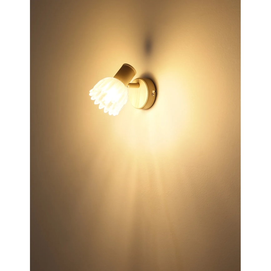 Globo - Aplique de pared con foco 1xE14/40W/230V