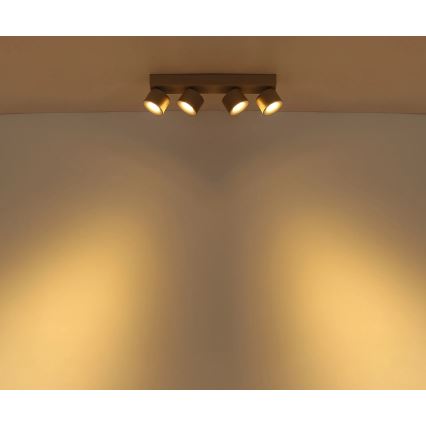 Globo - Foco empotrable LED 4xLED/6W/230V