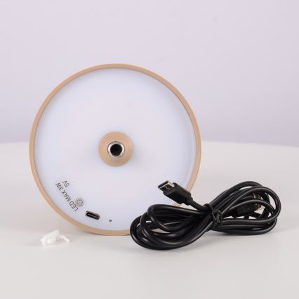 Globo 58438S - Lámpara de exterior LED táctil regulable VANNIE LED/3W/3,7V IP44 beige
