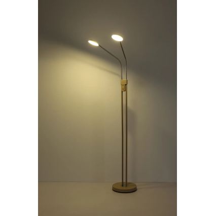 Globo - Lámpara de pie LED regulable 2xLED/6,5W/230V 2700/3350/4000K beige