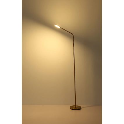 Globo - Lámpara de pie LED táctil regulable LED/6,5W/230V 2700/3350/4000K latón
