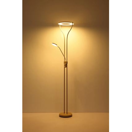 Globo - Lámpara de pie LED regulable LED/20W/230V + LED/4W 3000K