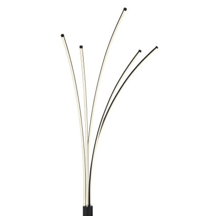 Globo - Lámpara de pie LED regulable LED/36W/230V 3000-6000K Wi-Fi Tuya + mando a distancia
