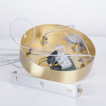 Globo - Lámpara colgante 8xG9/8W/230V diá. 61 cm dorado