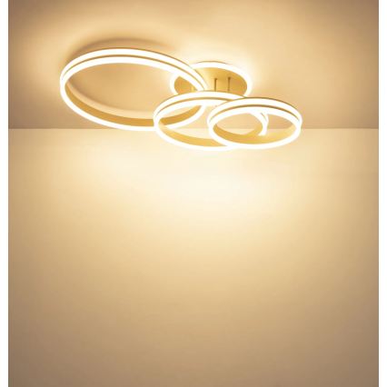 Globo - Luminaria de techo LED regulable LED/72W/230V 3000K 79,5x50 cm