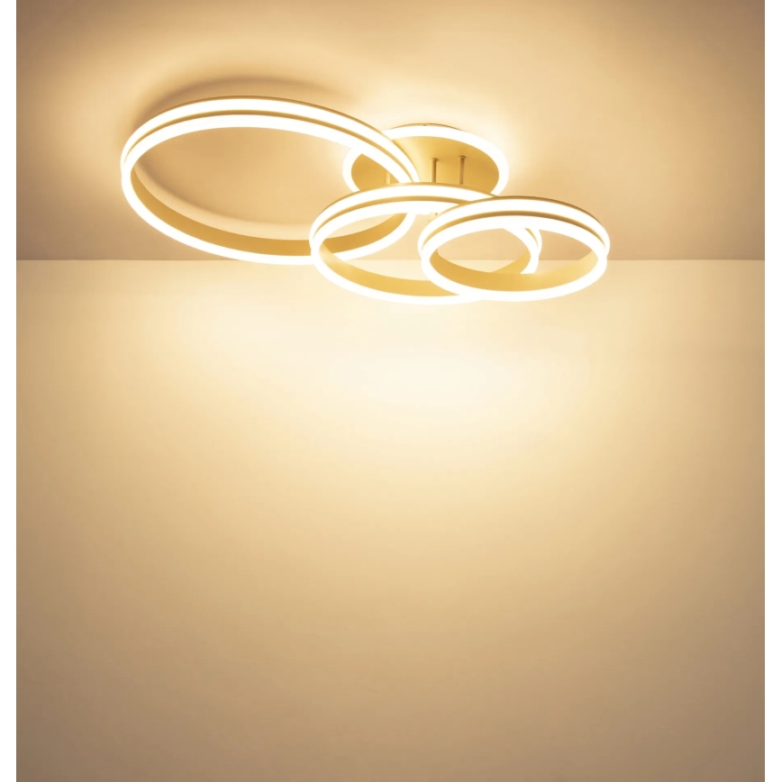 Globo - Luminaria de techo LED regulable LED/72W/230V 3000K 79,5x50 cm
