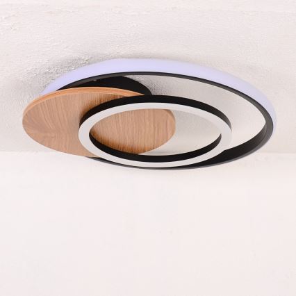 Globo - Plafón LED LED/24W/230V negro