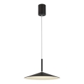 Globo - Lámpara colgante LED en cable LED/18W/230V 4000K negra