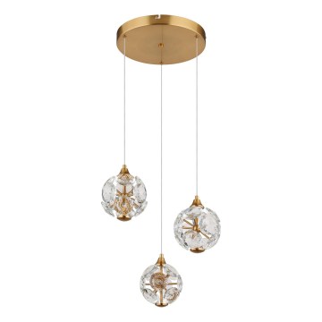 Globo - Lámpara colgante LED suspendida por cable LED/24W/230V 3000K color oro