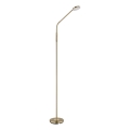 Globo - Lámpara de pie LED táctil regulable LED/6,5W/230V 2700/3350/4000K latón