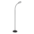 Globo - Lámpara de pie táctil regulable LED/8W/230V 2700K/4000K/6500K negra