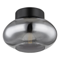 Globo - Lámpara de techo 1xE27ILLU/40W/230V negra