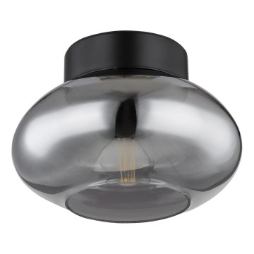 Globo - Lámpara de techo 1xE27ILLU/40W/230V negra