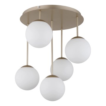 Globo - Lámpara de techo de montaje en superficie 5xE14/25W/230V latón