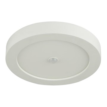 Globo - Lámpara de techo exterior LED con sensor LED/18W/230V IP44