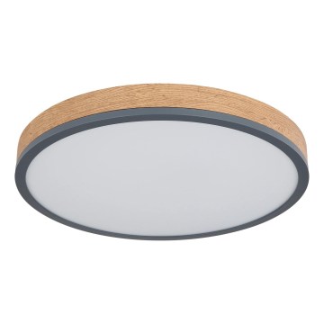 Globo - Lámpara de techo LED regulable, 24W/230V, 2700-6500K, diámetro 45 cm