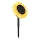 Globo - Luz solar LED LED/0,06W/3V girasol IP44 800 mAh